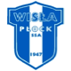 Team logo